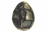 Septarian Dragon Egg Geode - Black Crystals #224199-1